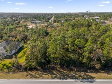 Discover the allure of this exceptional 1.24-acre wooded lot on Wedgefield Golf Club in Florida - for sale on GolfHomes.com, golf home, golf lot