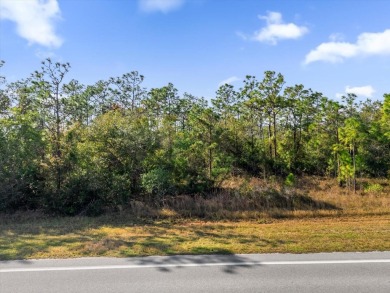 Experience the allure of this exceptional 1.03-acre wooded lot on Wedgefield Golf Club in Florida - for sale on GolfHomes.com, golf home, golf lot