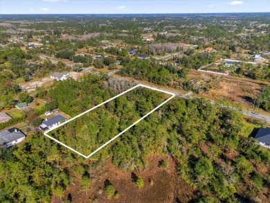 Experience the allure of this exceptional 1.03-acre wooded lot on Wedgefield Golf Club in Florida - for sale on GolfHomes.com, golf home, golf lot