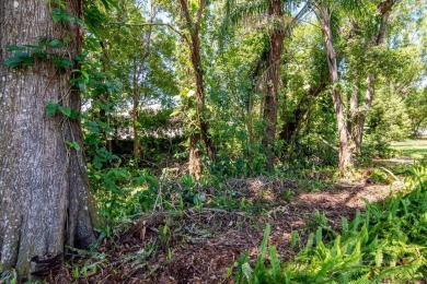 Discover the perfect multigenerational living opportunity in on Plantation Palms Golf Club in Florida - for sale on GolfHomes.com, golf home, golf lot