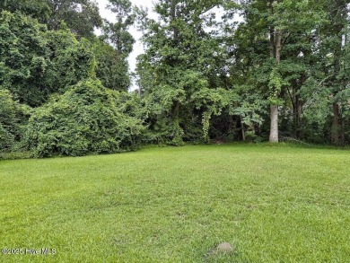 Welcome to 211 Country Club Road--a one-of-a-kind A-frame on Rock Creek Country Club in North Carolina - for sale on GolfHomes.com, golf home, golf lot