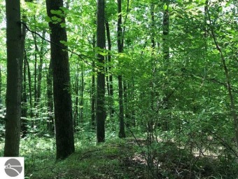 Beautiful 3+ acre lot located within Summit Village. Build your on Shanty Creek Golf Course in Michigan - for sale on GolfHomes.com, golf home, golf lot