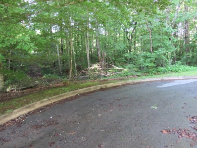 Beautiful 1 acre lot that backs up to the fairway at Mt. Airy on Hidden Falls At Mt. Airy Golf in Tennessee - for sale on GolfHomes.com, golf home, golf lot