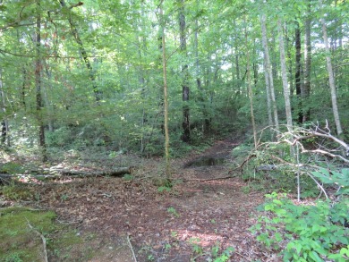 Beautiful 1 acre lot that backs up to the fairway at Mt. Airy on Hidden Falls At Mt. Airy Golf in Tennessee - for sale on GolfHomes.com, golf home, golf lot