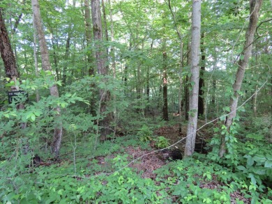 Beautiful 1 acre lot that backs up to the fairway at Mt. Airy on Hidden Falls At Mt. Airy Golf in Tennessee - for sale on GolfHomes.com, golf home, golf lot