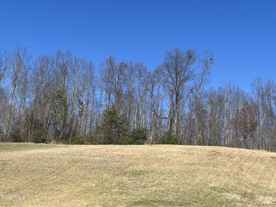 Take a serious look at this amazing piece of property located on  in Tennessee - for sale on GolfHomes.com, golf home, golf lot