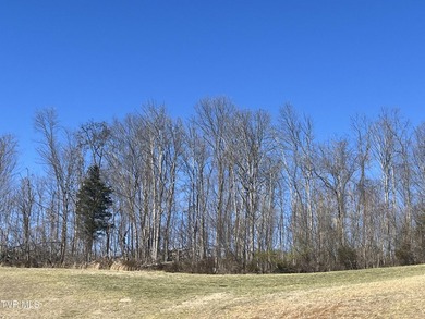 Take a serious look at this amazing piece of property located on  in Tennessee - for sale on GolfHomes.com, golf home, golf lot