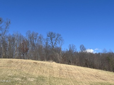 Take a serious look at this amazing piece of property located on  in Tennessee - for sale on GolfHomes.com, golf home, golf lot