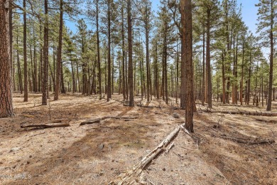 A rare opportunity to own a legacy property in one of Arizona's on Forest Highlands Golf Club - The Canyon in Arizona - for sale on GolfHomes.com, golf home, golf lot