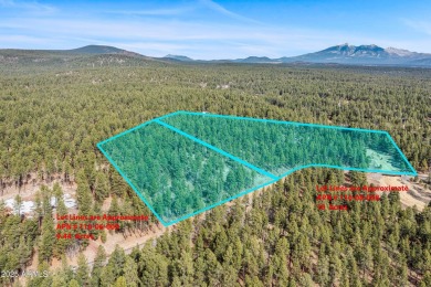 A rare opportunity to own a legacy property in one of Arizona's on Forest Highlands Golf Club - The Canyon in Arizona - for sale on GolfHomes.com, golf home, golf lot