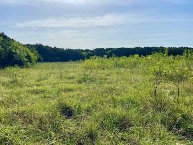 Need space and serenity?  Build your custom home on 1.58 acres on White Bluff Resort - New Course in Texas - for sale on GolfHomes.com, golf home, golf lot