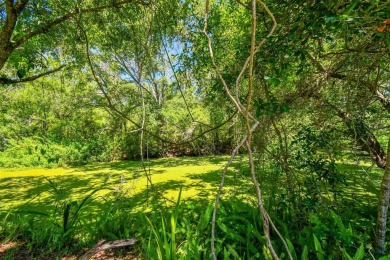Welcome to this beautifully updated 3-bedroom, 2-bathroom block on Northdale Golf and Tennis Club in Florida - for sale on GolfHomes.com, golf home, golf lot