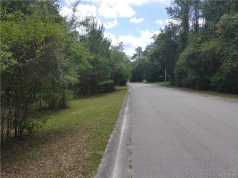 Beautiful home site in a highly desirable neighborhood, just on El Diablo Golf and Country Club in Florida - for sale on GolfHomes.com, golf home, golf lot