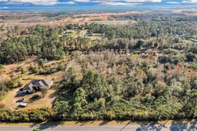 Discover the perfect blend of country charm and upscale living on Wedgefield Golf Club in Florida - for sale on GolfHomes.com, golf home, golf lot
