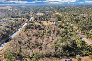 Discover the perfect blend of country charm and upscale living on Wedgefield Golf Club in Florida - for sale on GolfHomes.com, golf home, golf lot