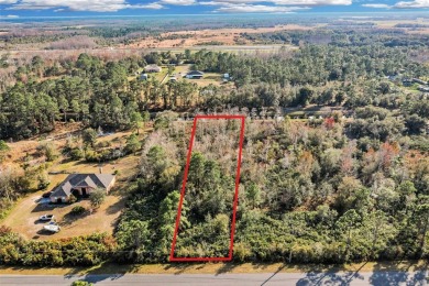 Discover the perfect blend of country charm and upscale living on Wedgefield Golf Club in Florida - for sale on GolfHomes.com, golf home, golf lot