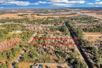 Discover the perfect blend of country charm and upscale living on Wedgefield Golf Club in Florida - for sale on GolfHomes.com, golf home, golf lot