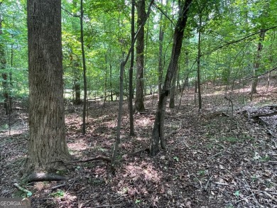 Build your dream home on this perfectly positioned lot along the on The Trail At Chickasaw Pointe in South Carolina - for sale on GolfHomes.com, golf home, golf lot
