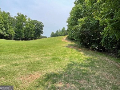 Build your dream home on this perfectly positioned lot along the on The Trail At Chickasaw Pointe in South Carolina - for sale on GolfHomes.com, golf home, golf lot