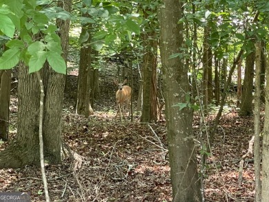 Build your dream home on this perfectly positioned lot along the on The Trail At Chickasaw Pointe in South Carolina - for sale on GolfHomes.com, golf home, golf lot