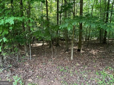 Build your dream home on this perfectly positioned lot along the on The Trail At Chickasaw Pointe in South Carolina - for sale on GolfHomes.com, golf home, golf lot