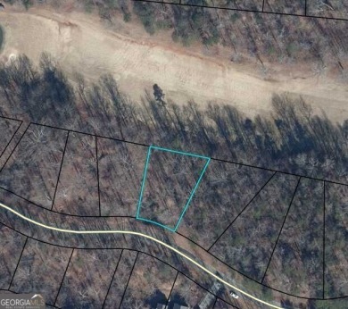 Build your dream home on this perfectly positioned lot along the on The Trail At Chickasaw Pointe in South Carolina - for sale on GolfHomes.com, golf home, golf lot