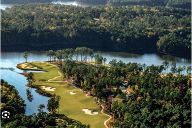 Welcome to 301 Misty Cove, a beautifully fully remodeled home on Monticello Golf Club At Savannah Lakes in South Carolina - for sale on GolfHomes.com, golf home, golf lot
