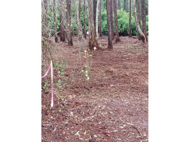 The absolute best cleared bay view lot in St James Bay Golf & on St. James Bay in Florida - for sale on GolfHomes.com, golf home, golf lot