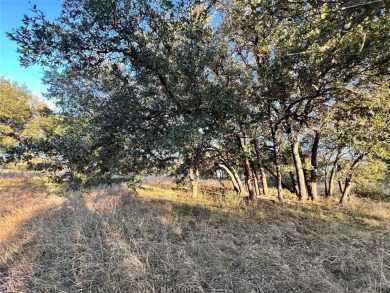 Discover a prime golf course lot at The Hideout, perfectly on Hideout Golf Club and Resort  in Texas - for sale on GolfHomes.com, golf home, golf lot