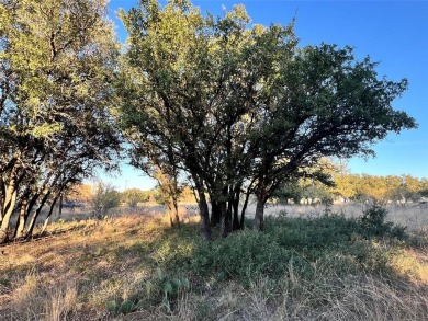Discover a prime golf course lot at The Hideout, perfectly on Hideout Golf Club and Resort  in Texas - for sale on GolfHomes.com, golf home, golf lot