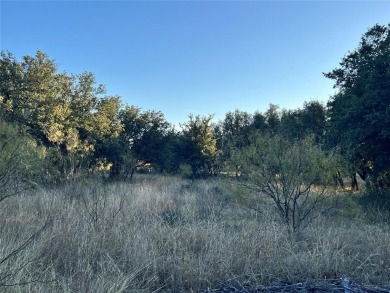 Discover a prime golf course lot at The Hideout, perfectly on Hideout Golf Club and Resort  in Texas - for sale on GolfHomes.com, golf home, golf lot