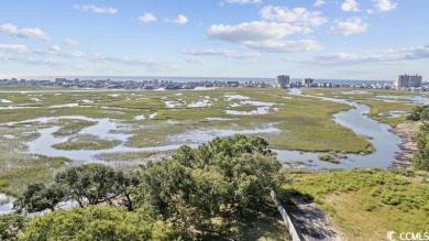 Tantalizing Tidewater Marsh front lot on Williams Creek.  This on Tidewater Golf Club and Plantation in South Carolina - for sale on GolfHomes.com, golf home, golf lot