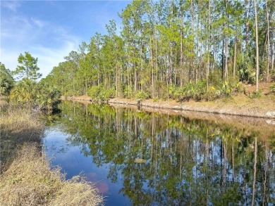 NO HOA RESTRICTIONS -  This charming 3-bedroom, 2-bathroom home on The Club At Twin Eagles in Florida - for sale on GolfHomes.com, golf home, golf lot