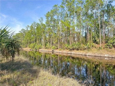 NO HOA RESTRICTIONS -  This charming 3-bedroom, 2-bathroom home on The Club At Twin Eagles in Florida - for sale on GolfHomes.com, golf home, golf lot