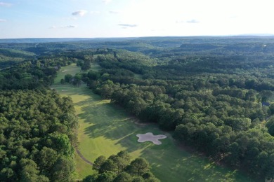 Immaculate golf course home with detached mother in law or guest on Mountain Ranch Golf Club in Arkansas - for sale on GolfHomes.com, golf home, golf lot