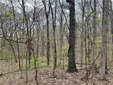 Discover the natural beauty of this 4.31-acre property, located on Bella Vista - Metfield Golf Complex and Country Club in Arkansas - for sale on GolfHomes.com, golf home, golf lot