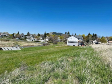 Golf Course Subdivision - Rare Large Lots in Hay's Subdivision on  in Washington - for sale on GolfHomes.com, golf home, golf lot