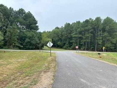 Almost completed! Don't miss this beautiful 3 bedroom 2 1/2 bath on Isabella Golf Course  in Arkansas - for sale on GolfHomes.com, golf home, golf lot