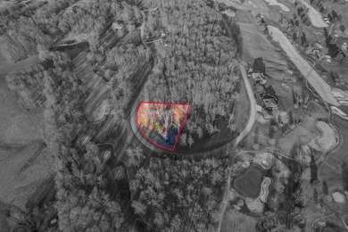 THIS IS A GREAT OPPORTUNITY TO LIVE ON A BEAUTIFUL GOLF COURSE on Graysburg Hills Golf Courses in Tennessee - for sale on GolfHomes.com, golf home, golf lot
