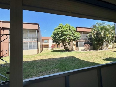 55+ Beautiful Updated First Floor Corner Condo in Kings Point on Kings Point Golf -Flanders Way in Florida - for sale on GolfHomes.com, golf home, golf lot