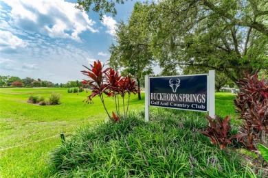 One or more photo(s) has been virtually staged. *Located outside on Buckhorn Springs Golf and Country Club in Florida - for sale on GolfHomes.com, golf home, golf lot