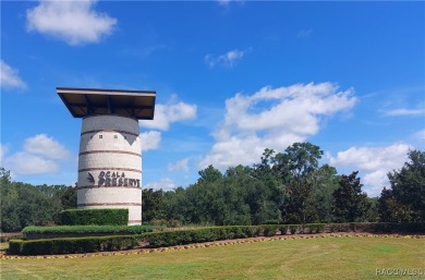 Experience resort-style living at its finest! This pristine 2023 on Trilogy at Ocala Preserve in Florida - for sale on GolfHomes.com, golf home, golf lot