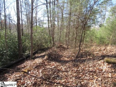 Good building lot in The Rock at Jocassee golf course looking on The Rock At Jocassee in South Carolina - for sale on GolfHomes.com, golf home, golf lot