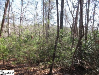 Good building lot in The Rock at Jocassee golf course looking on The Rock At Jocassee in South Carolina - for sale on GolfHomes.com, golf home, golf lot