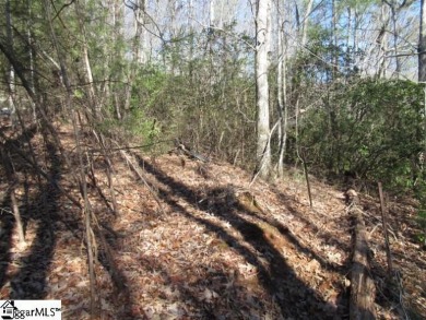 Good building lot in The Rock at Jocassee golf course looking on The Rock At Jocassee in South Carolina - for sale on GolfHomes.com, golf home, golf lot