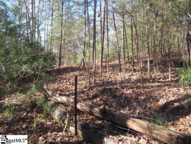 Good building lot in The Rock at Jocassee golf course looking on The Rock At Jocassee in South Carolina - for sale on GolfHomes.com, golf home, golf lot