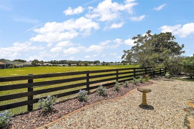 PEACEFUL, PRIVATE, PRESERVE VIEWS with NO REAR NEIGHBORS! on The Links of Spruce Creek in Florida - for sale on GolfHomes.com, golf home, golf lot