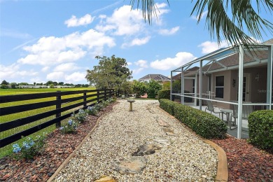 PEACEFUL, PRIVATE, PRESERVE VIEWS with NO REAR NEIGHBORS! on The Links of Spruce Creek in Florida - for sale on GolfHomes.com, golf home, golf lot