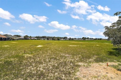 PEACEFUL, PRIVATE, PRESERVE VIEWS with NO REAR NEIGHBORS! on The Links of Spruce Creek in Florida - for sale on GolfHomes.com, golf home, golf lot
