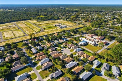 Indulge in the quintessential Florida lifestyle within the on Brentwood Farms Golf Club in Florida - for sale on GolfHomes.com, golf home, golf lot